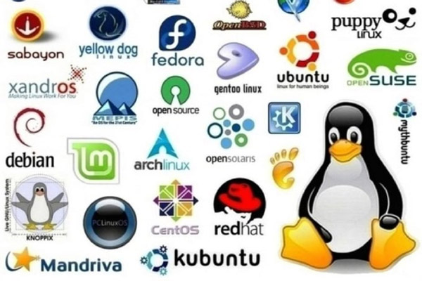 Hệ sinh thái của Linux