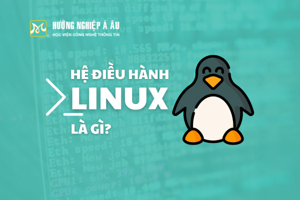 Linux thuộc top 4 hệ điều hành máy tính