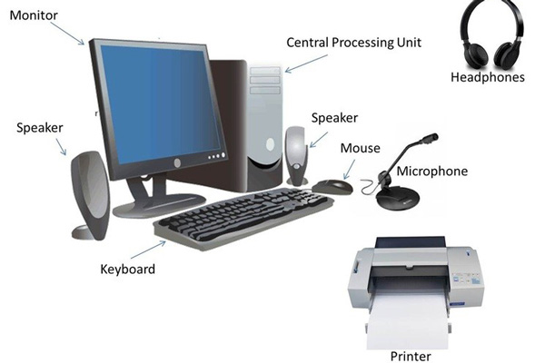 Phần Cứng (Hardware)