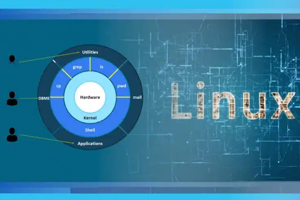 Shell Là Gì Trong Linux